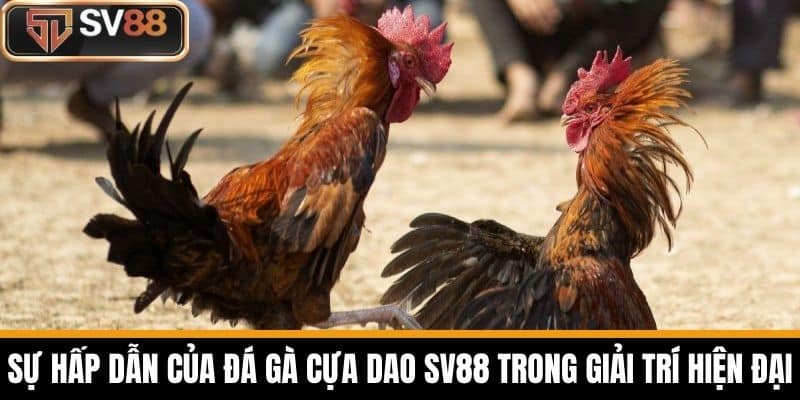 Sự Hấp Dẫn Của Đá Gà Cựa Dao SV88 Trong Giải Trí Hiện Đại