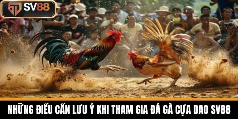 Những Điều Cần Lưu Ý Khi Tham Gia Đá Gà Cựa Dao SV88