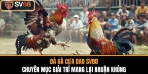 Đá Gà Cựa Dao SV88 Chuyên Mục Giải Trí Mang Lợi Nhuận Khủng