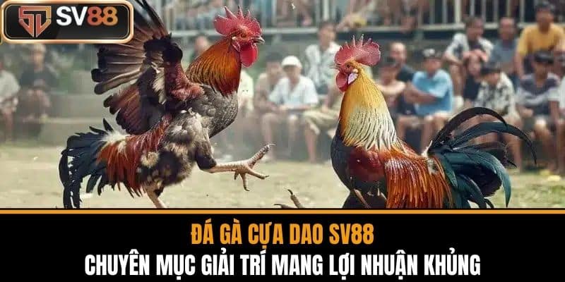 Đá Gà Cựa Dao SV88 Chuyên Mục Giải Trí Mang Lợi Nhuận Khủng