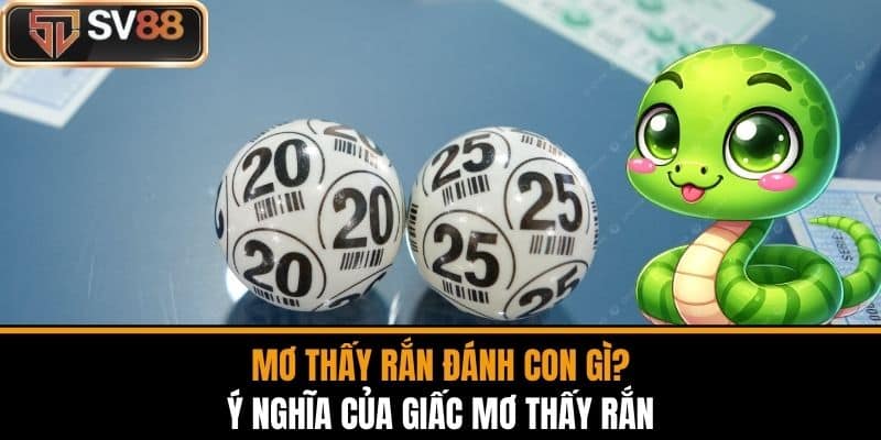 Mơ Thấy Rắn Đánh Con Gì? Ý Nghĩa Của Giấc Mơ Thấy Rắn